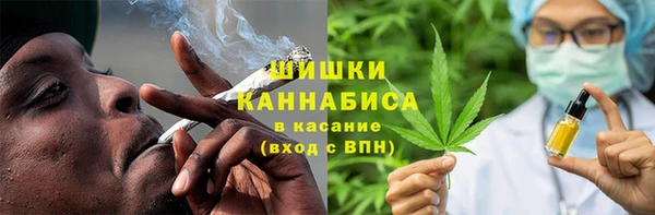 крисы Абдулино