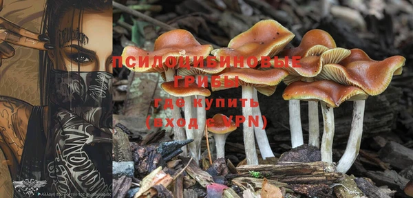 крисы Абдулино