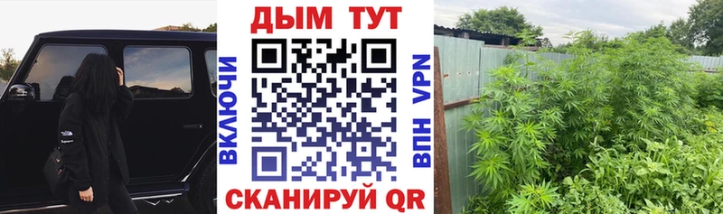 Шишки марихуана THC 21%  дарк нет клад  Алагир 